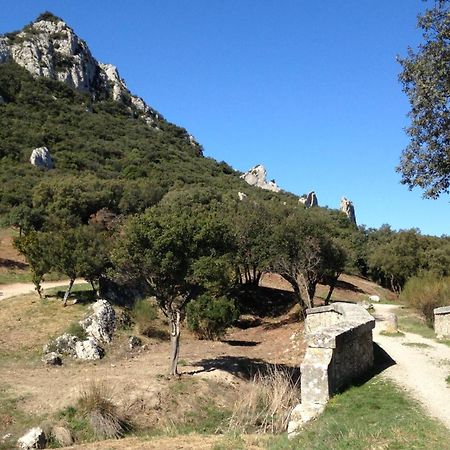 Les Lavandins-Gite Magali Saint-Rémy-de-Provence Zewnętrze zdjęcie