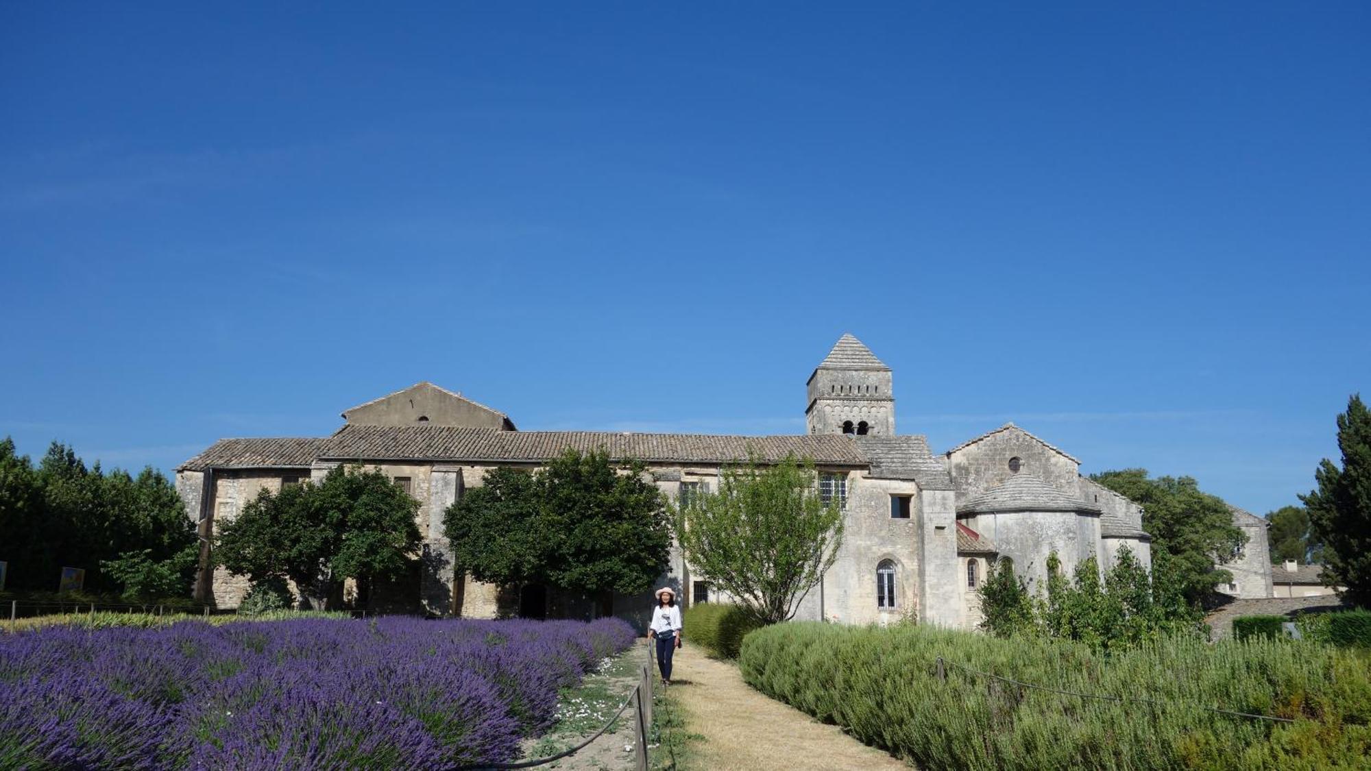 Les Lavandins-Gite Magali Saint-Rémy-de-Provence Zewnętrze zdjęcie