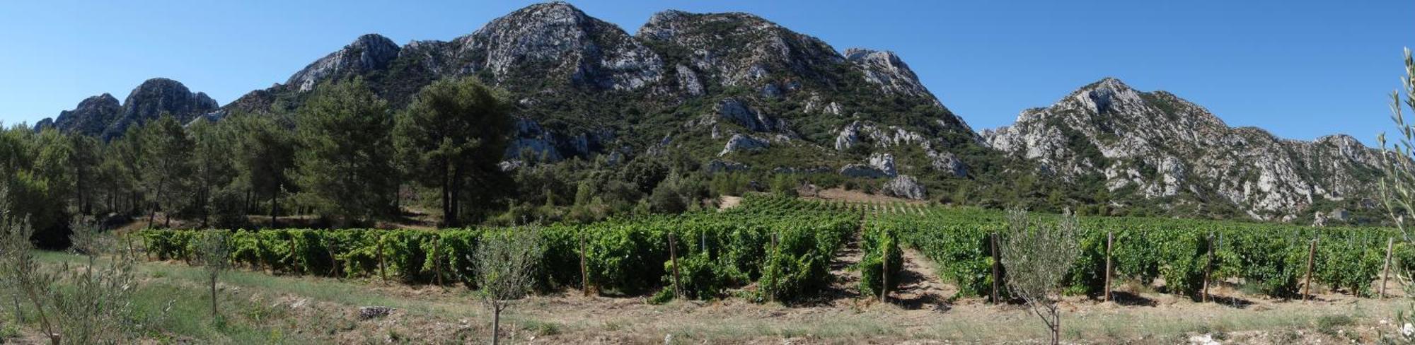 Les Lavandins-Gite Magali Saint-Rémy-de-Provence Zewnętrze zdjęcie