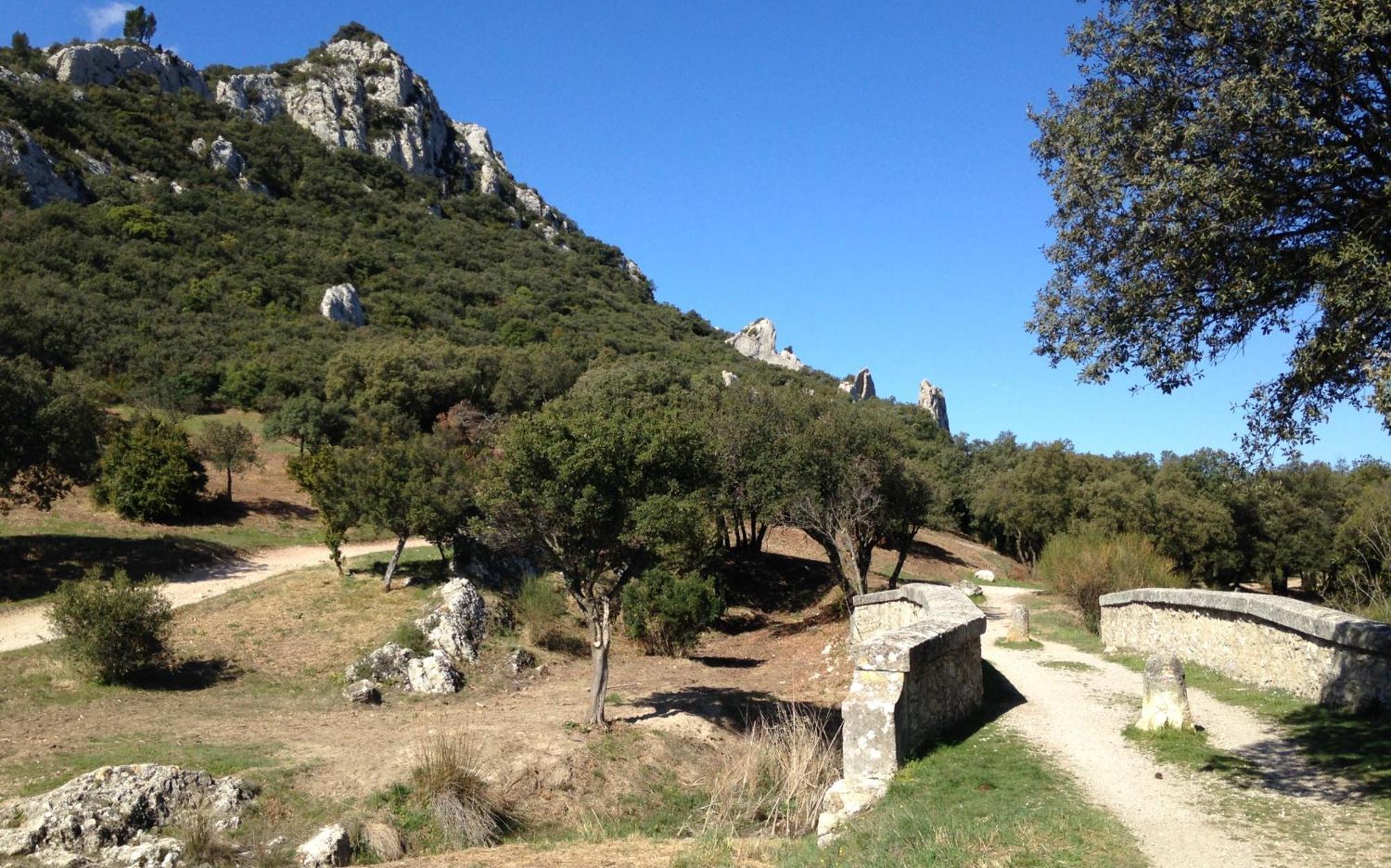 Les Lavandins-Gite Magali Saint-Rémy-de-Provence Zewnętrze zdjęcie