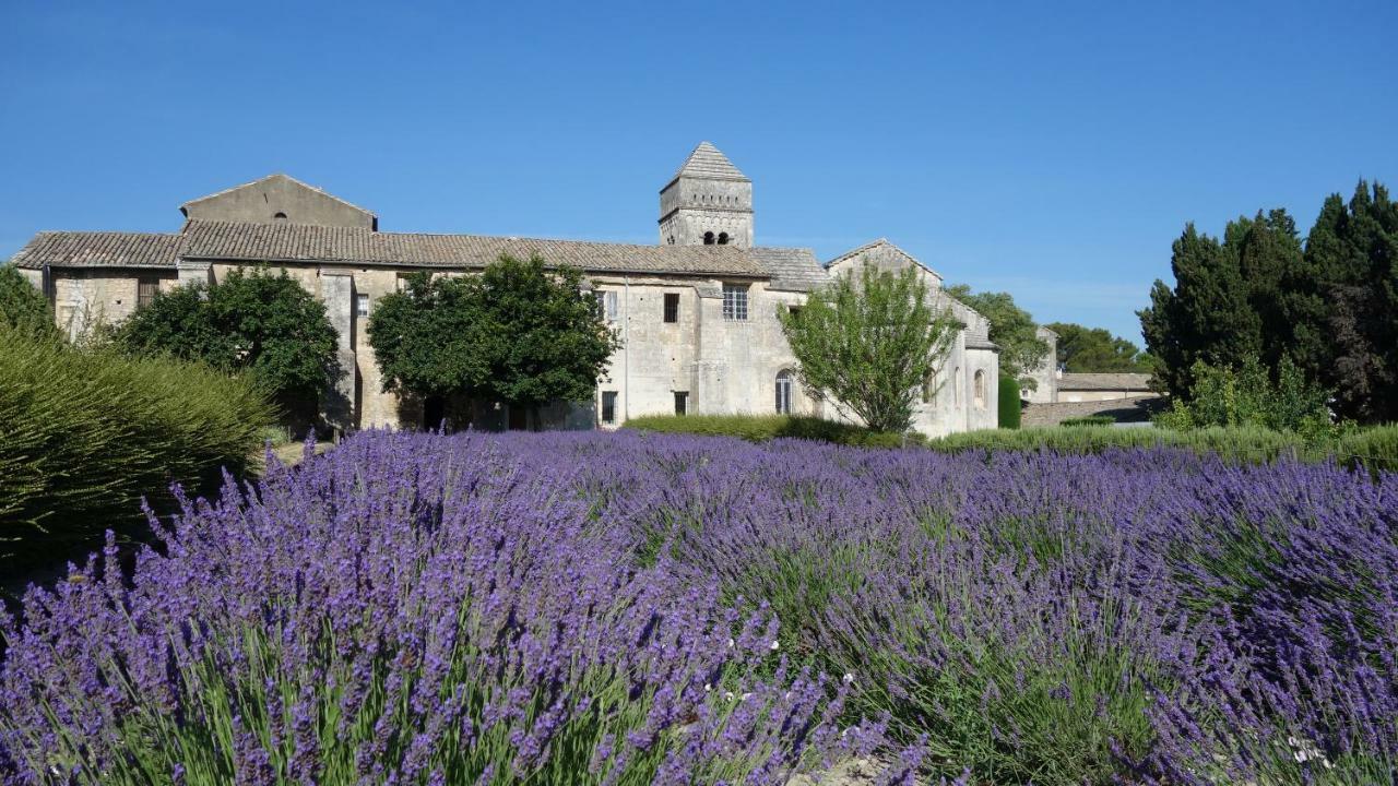 Les Lavandins-Gite Magali Saint-Rémy-de-Provence Zewnętrze zdjęcie