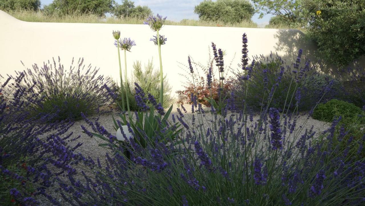 Les Lavandins-Gite Magali Saint-Rémy-de-Provence Zewnętrze zdjęcie