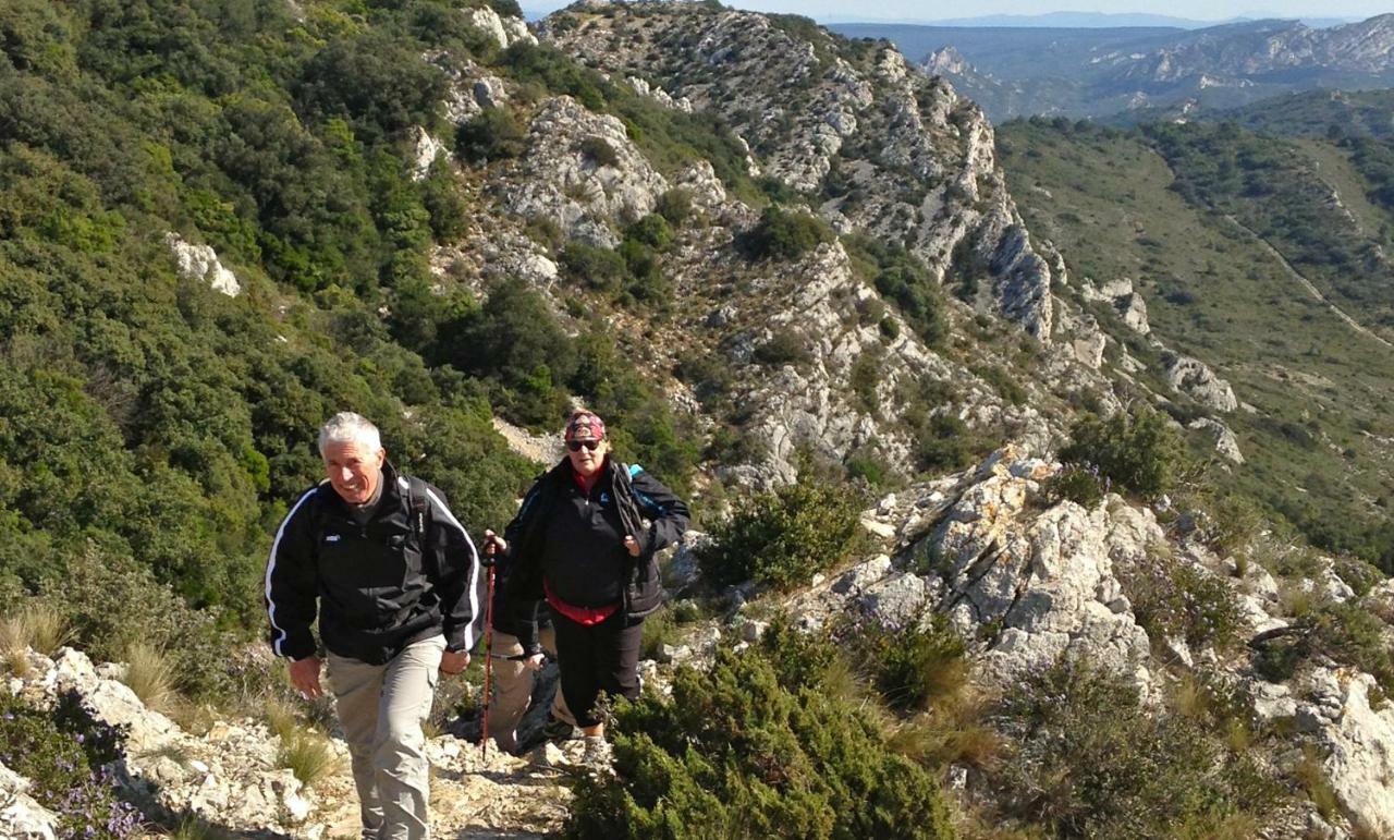 Les Lavandins-Gite Magali Saint-Rémy-de-Provence Zewnętrze zdjęcie
